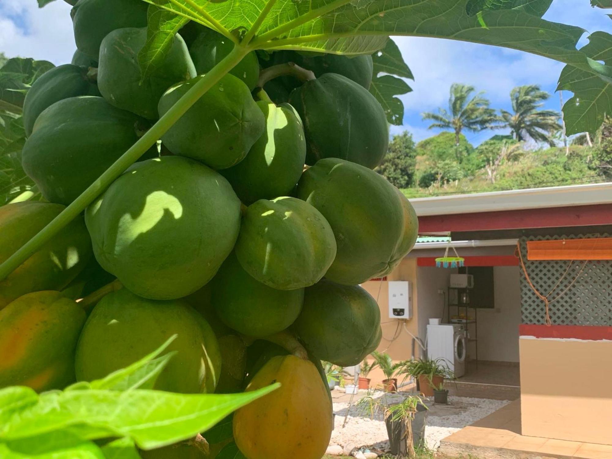 Lemon House Hotel Maroe Bagian luar foto